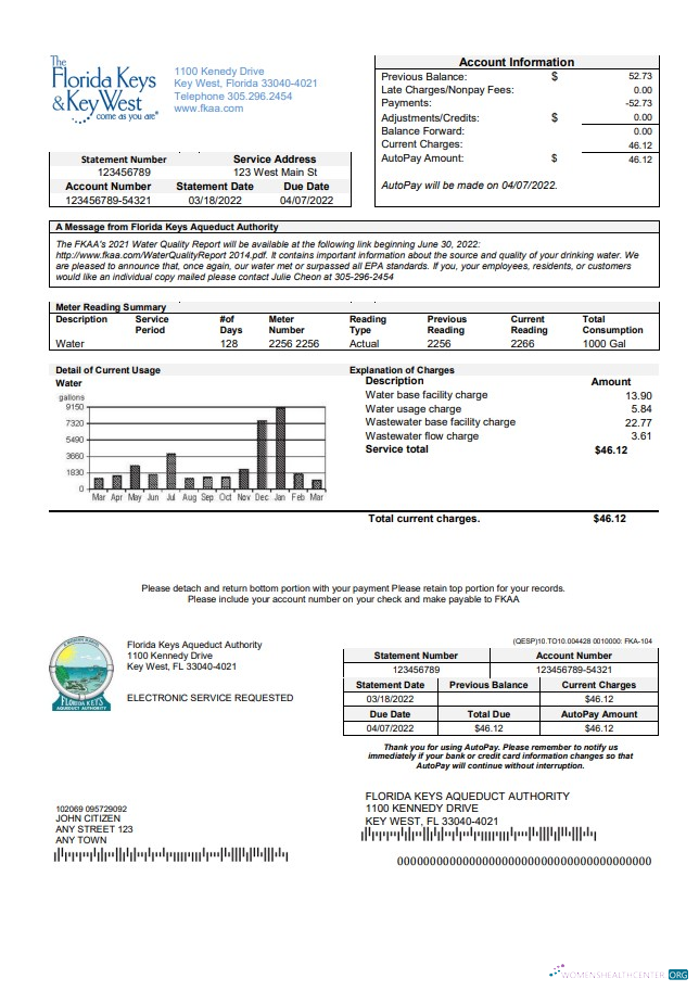download download USA Florida Florida Keys utility bill template in Word and PDF format PDF template PDF template